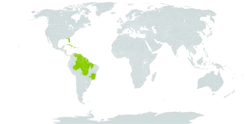 Vanilla mexicana world distribution map, present in Brazil, Cuba, Dominica, Guyana, Haiti, Jamaica, Puerto Rico, Suriname, United States of America, and Venezuela (Bolivarian Republic of)