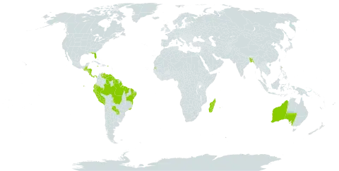 Vanilla planifolia world distribution map, present in Australia, Bangladesh, Belize, Brazil, Cook Islands, Costa Rica, Cayman Islands, Dominica, Ecuador, Guatemala, Guyana, Honduras, Jamaica, Madagascar, Nicaragua, Panama, Peru, Puerto Rico, Paraguay, Réunion, Suriname, Seychelles, Tonga, United States of America, and Venezuela (Bolivarian Republic of)