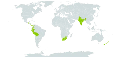 Vasconcellea pubescens world distribution map, present in Bolivia (Plurinational State of), Colombia, Costa Rica, Ecuador, Guatemala, India, New Zealand, Panama, Peru, Venezuela (Bolivarian Republic of), and South Africa