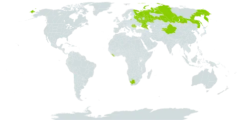 Verbascum chaixii subsp. orientale world distribution map, present in China, Kyrgyzstan, Liberia, Romania, Russian Federation, and South Africa