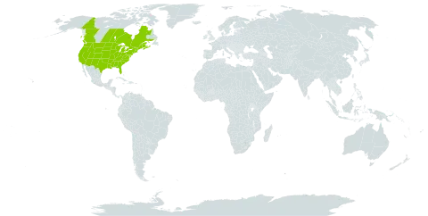 Verbena hastata world distribution map, present in Canada and United States of America