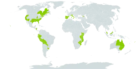 Verbena incompta world distribution map, present in Åland Islands, Australia, Bolivia (Plurinational State of), Canada, Cook Islands, Ecuador, Spain, Fiji, Georgia, Italy, Kenya, Mozambique, Malaysia, Norfolk Island, Nicaragua, Peru, Portugal, Paraguay, Tanzania, United Republic of, Uruguay, United States of America, and Zimbabwe