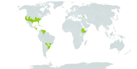 Verbena tenera world distribution map, present in Åland Islands, Brazil, Cuba, Dominica, Ethiopia, Georgia, Honduras, Nicaragua, Puerto Rico, Paraguay, Uruguay, United States of America, and Venezuela (Bolivarian Republic of)