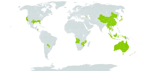 Vernicia world distribution map, present in Angola, Åland Islands, Australia, China, Georgia, Indonesia, Japan, Myanmar, Mozambique, Nicaragua, Nepal, Puerto Rico, Korea (Democratic People's Republic of), Paraguay, Thailand, Taiwan, Province of China, United States of America, Viet Nam, and Zimbabwe