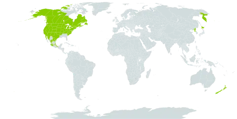 Veronica americana world distribution map, present in Canada, France, Japan, Mexico, New Zealand, Korea (Democratic People's Republic of), Russian Federation, Saint Pierre and Miquelon, and United States of America