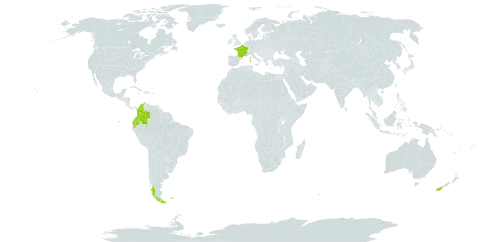 Veronica elliptica world distribution map, present in Argentina, Chile, Colombia, Ecuador, Falkland Islands (Malvinas), France, and New Zealand