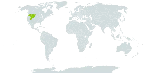 Veronica paysonii world distribution map, present in United States of America