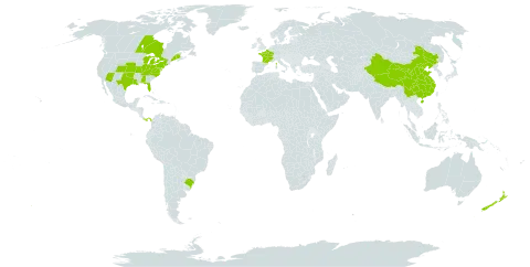 Veronica polita world distribution map, present in Brazil, Canada, China, France, New Zealand, Panama, and United States of America