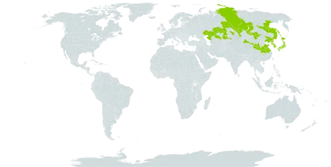 Vicia amoena world distribution map, present in China, Japan, Kazakhstan, Korea (Republic of), Mongolia, Korea (Democratic People's Republic of), and Russian Federation