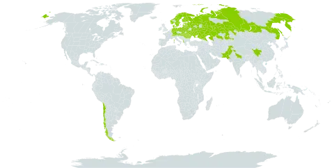 Vicia bakeri world distribution map, present in Albania, Austria, Belarus, Switzerland, Chile, China, Germany, Denmark, Estonia, Finland, France, Hungary, India, Kazakhstan, Lithuania, Latvia, Moldova (Republic of), Norway, Nepal, Pakistan, Poland, Romania, Russian Federation, Slovakia, Sweden, and Ukraine