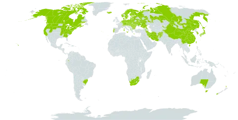 Vicia cracca world distribution map, present in Afghanistan, Albania, Armenia, Australia, Austria, Azerbaijan, Belgium, Bulgaria, Belarus, Brazil, Canada, Switzerland, China, Czech Republic, Germany, Denmark, Ecuador, Estonia, Finland, France, Faroe Islands, Georgia, Greece, Hungary, Iran (Islamic Republic of), Iceland, Italy, Japan, Kazakhstan, Kyrgyzstan, Korea (Republic of), Lithuania, Latvia, Moldova (Republic of), Mongolia, Netherlands, Norway, New Zealand, Poland, Portugal, Romania, Russian Federation, Slovakia, Sweden, Taiwan, Province of China, Ukraine, United States of America, and South Africa