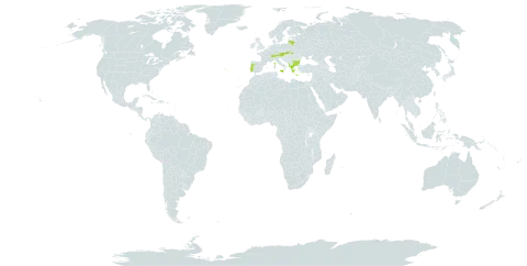 Vicia cracca subsp. incana world distribution map, present in Albania, Austria, Bulgaria, Switzerland, France, Greece, Italy, Lithuania, Portugal, Slovakia, and Ukraine