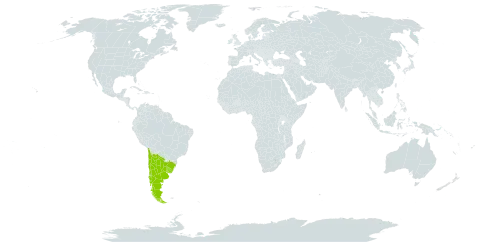 Vicia nana world distribution map, present in Argentina, Brazil, Chile, and Uruguay