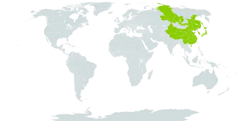 Vicia unijuga world distribution map, present in China, Japan, Korea (Republic of), Mongolia, and Russian Federation