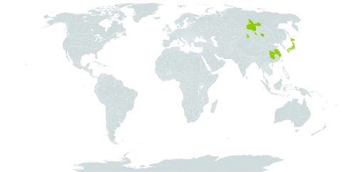 Vicia venosa world distribution map, present in China, Japan, Mongolia, and Russian Federation