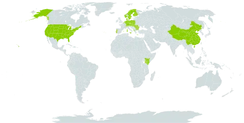 Vicia villosa subsp. villosa world distribution map, present in Albania, Austria, Belgium, Bulgaria, Switzerland, China, Czech Republic, Germany, Denmark, Spain, Finland, France, Greece, Hungary, Italy, Kenya, Netherlands, Norway, Poland, Portugal, Romania, Slovakia, Sweden, and United States of America