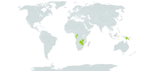 Vigna unguiculata subsp. alba world distribution map, present in Angola, Congo, Papua New Guinea, Zambia, and Zimbabwe