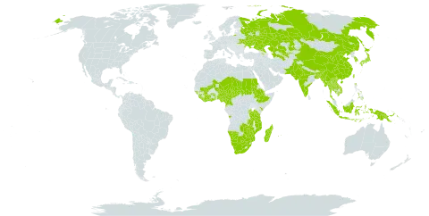 Vigna unguiculata subsp. unguiculata world distribution map, present in Angola, Armenia, Azerbaijan, Burundi, Bangladesh, Botswana, China, Côte d'Ivoire, Cameroon, Djibouti, Ethiopia, Ghana, Guinea, Guinea-Bissau, Equatorial Guinea, Indonesia, India, Japan, Kazakhstan, Kenya, Cambodia, Korea (Republic of), Lao People's Democratic Republic, Liberia, Sri Lanka, Madagascar, Mali, Myanmar, Mozambique, Mauritius, Malawi, Namibia, Niger, Nigeria, Nepal, Pakistan, Philippines, Papua New Guinea, Réunion, Russian Federation, Rwanda, Sudan, Sierra Leone, Chad, Togo, Thailand, Tajikistan, Turkmenistan, Taiwan, Province of China, Tanzania, United Republic of, Uganda, Ukraine, Uzbekistan, Viet Nam, South Africa, Zambia, and Zimbabwe