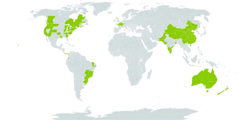 Viola odorata world distribution map, present in Australia, Brazil, Canada, China, Colombia, Spain, France, United Kingdom of Great Britain and Northern Ireland, India, New Zealand, Pakistan, Panama, Philippines, Portugal, and United States of America