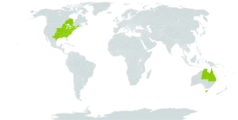 Viola pedata world distribution map, present in Australia, Canada, and United States of America