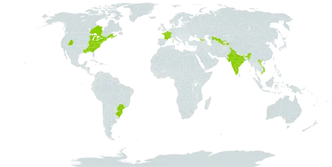 Vitis labrusca world distribution map, present in Brazil, Canada, France, Georgia, India, Portugal, Tajikistan, United States of America, Uzbekistan, and Viet Nam