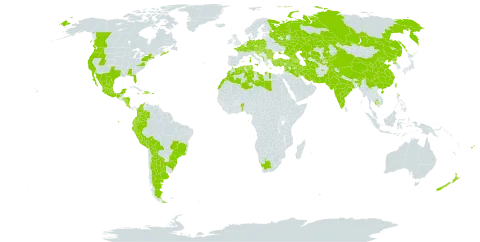 Vitis vinifera world distribution map, present in Afghanistan, Albania, Argentina, Armenia, Austria, Azerbaijan, Belgium, Benin, Bulgaria, Bosnia and Herzegovina, Bolivia (Plurinational State of), Brazil, Canada, Switzerland, China, Colombia, Cabo Verde, Costa Rica, Czech Republic, Germany, Dominican Republic, Algeria, Ecuador, Spain, Fiji, France, Micronesia (Federated States of), Georgia, Gibraltar, Greece, Honduras, Croatia, Haiti, Hungary, India, Iran (Islamic Republic of), Iraq, Italy, Jamaica, Kazakhstan, Kyrgyzstan, Cambodia, Libya, Morocco, Mexico, North Macedonia, Montenegro, Nicaragua, Nepal, New Zealand, Pakistan, Peru, Poland, Puerto Rico, Korea (Democratic People's Republic of), Portugal, Romania, Russian Federation, Serbia, Sao Tome and Principe, Slovakia, Slovenia, Syrian Arab Republic, Tajikistan, Turkmenistan, Trinidad and Tobago, Tunisia, Turkey, Taiwan, Province of China, Ukraine, United States of America, Uzbekistan, and South Africa