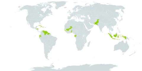 Volkameria aculeata world distribution map, present in Benin, Bahamas, Bermuda, Cuba, Cayman Islands, Dominica, Ecuador, Gabon, Guinea, Guinea-Bissau, Guyana, Honduras, Haiti, Indonesia, Jamaica, Mali, Pakistan, Puerto Rico, Suriname, Togo, and Venezuela (Bolivarian Republic of)