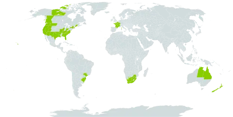 Vulpia bromoides world distribution map, present in Australia, Brazil, Canada, France, New Zealand, United States of America, and South Africa