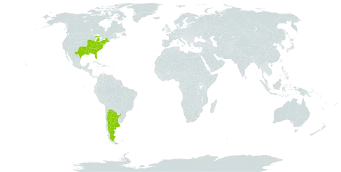 Wisteria frutescens world distribution map, present in Argentina and United States of America