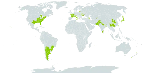 Wisteria sinensis world distribution map, present in Argentina, Azerbaijan, Brazil, China, France, Georgia, India, Italy, Japan, Lithuania, Moldova (Republic of), Mauritius, Nepal, New Zealand, Pakistan, Réunion, Russian Federation, Tajikistan, Taiwan, Province of China, Ukraine, United States of America, and Uzbekistan