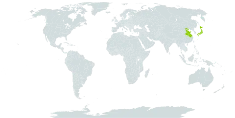 Wisteria villosa world distribution map, present in China and Japan