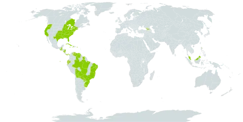 Wolffia brasiliensis world distribution map, present in Åland Islands, Bolivia (Plurinational State of), Brazil, Canada, Cuba, Dominica, Ecuador, Micronesia (Federated States of), Georgia, Guatemala, Haiti, Jamaica, Malaysia, Nicaragua, Panama, Puerto Rico, Paraguay, Suriname, Uruguay, United States of America, and Venezuela (Bolivarian Republic of)