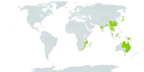 Wollastonia biflora world distribution map, present in American Samoa, French Southern Territories, Australia, Bangladesh, China, Cook Islands, Comoros, Fiji, Micronesia (Federated States of), Indonesia, India, Japan, Cambodia, Kiribati, Lao People's Democratic Republic, Sri Lanka, Maldives, Marshall Islands, Myanmar, Northern Mariana Islands, Mozambique, Malaysia, Mayotte, Niue, Philippines, Palau, Papua New Guinea, Singapore, Seychelles, Thailand, Tonga, Tuvalu, Taiwan, Province of China, United States of America, Viet Nam, Samoa, and South Africa