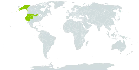 Woodsia scopulina world distribution map, present in United States of America