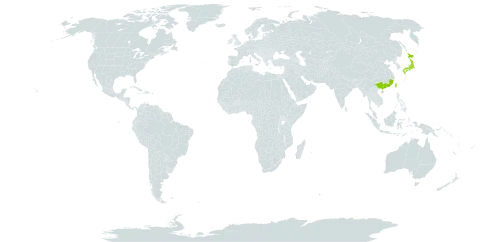 Woodwardia kempii world distribution map, present in China, Japan, and Taiwan, Province of China