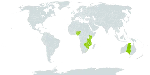 Wurmbea world distribution map, present in Australia, Kenya, Lesotho, Mozambique, Nigeria, eSwatini, Tanzania, United Republic of, Uganda, Zambia, and Zimbabwe