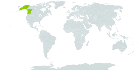 x Elyhordeum schaackianum world distribution map, present in Canada and United States of America