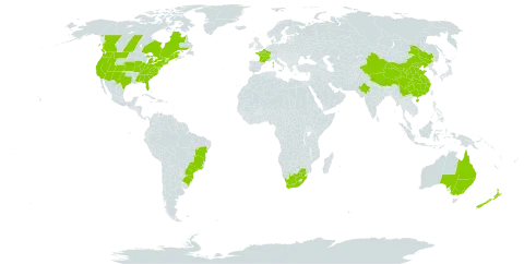 Xanthium spinosum world distribution map, present in Australia, Brazil, Canada, China, France, India, New Zealand, United States of America, and South Africa