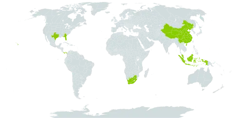 Xylosma world distribution map, present in Australia, China, Micronesia (Federated States of), Guam, Hong Kong, Indonesia, Malaysia, Panama, United States of America, and South Africa