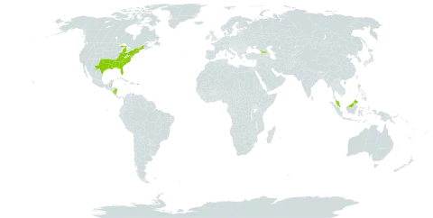 Xyris difformis world distribution map, present in Åland Islands, Belize, Micronesia (Federated States of), Georgia, Malaysia, Nicaragua, Puerto Rico, and United States of America