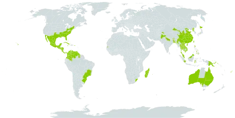 Youngia japonica world distribution map, present in Afghanistan, Australia, Bonaire, Sint Eustatius and Saba, Bangladesh, Bahamas, Brazil, Barbados, Bhutan, China, Colombia, Costa Rica, Cuba, Cayman Islands, Dominica, Fiji, Guatemala, Guam, Guyana, Honduras, Indonesia, India, Jamaica, Japan, Cambodia, Lao People's Democratic Republic, Madagascar, Mexico, Myanmar, Northern Mariana Islands, Mauritius, Malaysia, Nicaragua, Nepal, Pakistan, Panama, Philippines, Papua New Guinea, Puerto Rico, Korea (Democratic People's Republic of), Réunion, Singapore, El Salvador, Seychelles, Thailand, Tonga, Trinidad and Tobago, Taiwan, Province of China, United States of America, Venezuela (Bolivarian Republic of), Viet Nam, and South Africa