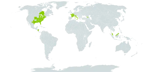 Yucca filamentosa world distribution map, present in Åland Islands, Canada, France, Georgia, Italy, Malaysia, Nicaragua, Turks and Caicos Islands, and United States of America