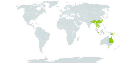 Zanthoxylum nitidum world distribution map, present in Australia, Bangladesh, China, Indonesia, India, Iceland, Cambodia, Lao People's Democratic Republic, Sri Lanka, Myanmar, Malaysia, Nepal, Nauru, Philippines, Papua New Guinea, Singapore, Solomon Islands, Thailand, Taiwan, Province of China, and Viet Nam