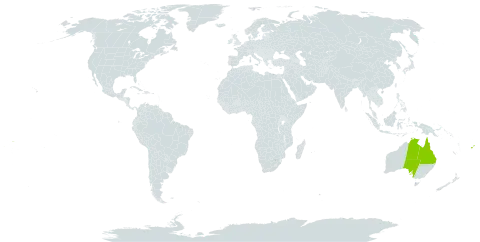 Zanthoxylum pinnatum world distribution map, present in Australia, Fiji, Tonga, and Samoa