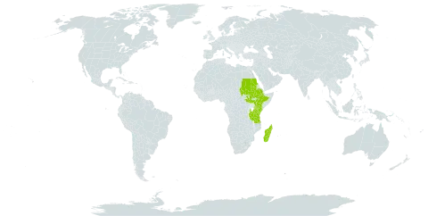 Zehneria peneyana world distribution map, present in Ethiopia, Kenya, Madagascar, Sudan, South Sudan, and Tanzania, United Republic of