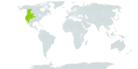 Zeltnera exaltata world distribution map, present in Canada, Mexico, and United States of America