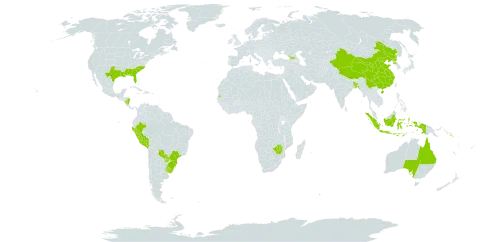 Zephyranthes candida world distribution map, present in Åland Islands, Australia, Bangladesh, Brazil, China, Georgia, Indonesia, Nicaragua, Nauru, Peru, Korea (Democratic People's Republic of), Paraguay, Solomon Islands, Seychelles, Tonga, Uruguay, United States of America, and Zimbabwe