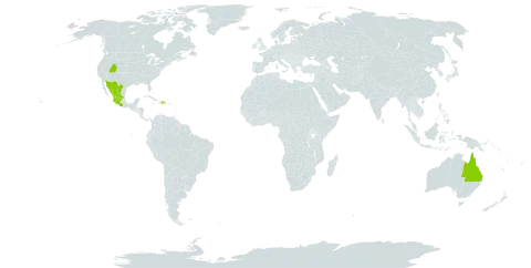 Zinnia angustifolia world distribution map, present in Australia, Dominican Republic, Mexico, and United States of America