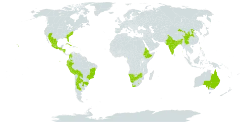 Zinnia peruviana world distribution map, present in Argentina, Australia, Bangladesh, Bahamas, Bolivia (Plurinational State of), Brazil, Bhutan, Botswana, China, Colombia, Cabo Verde, Cuba, Ecuador, Eritrea, Ethiopia, Fiji, Equatorial Guinea, Guatemala, Honduras, India, Lesotho, Mexico, Mauritius, Namibia, Nicaragua, Nepal, Peru, Puerto Rico, Paraguay, Réunion, Sao Tome and Principe, eSwatini, Trinidad and Tobago, United States of America, Venezuela (Bolivarian Republic of), South Africa, and Zimbabwe