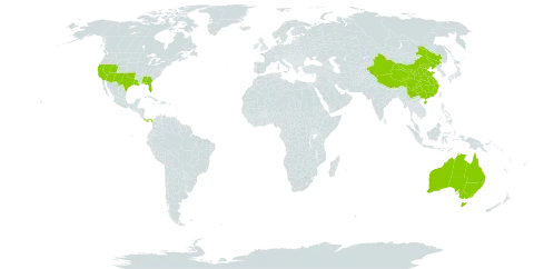 Ziziphus world distribution map, present in Australia, China, Panama, and United States of America